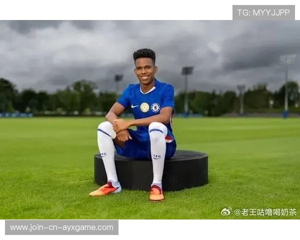 切尔西签入多任务型前场手